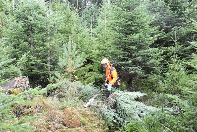 Arbeit im Forst verndert sich