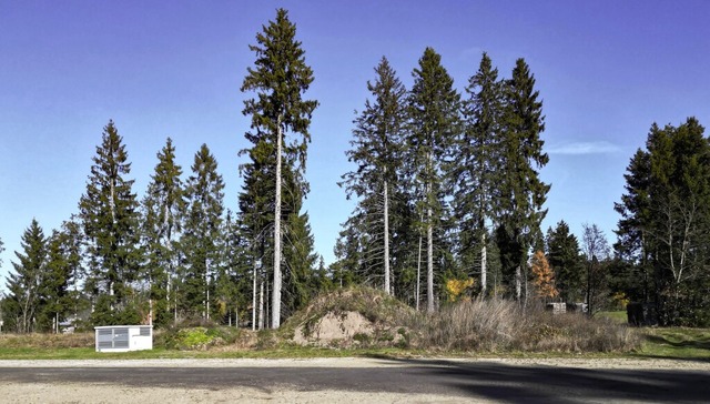 Angrenzend an der Parkplatz- und Event...Rothaus-Htte eine neue Heimat finden.  | Foto: Wilfried Dieckmann
