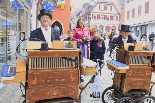 So schn ging die Chrysanthema zu Ende