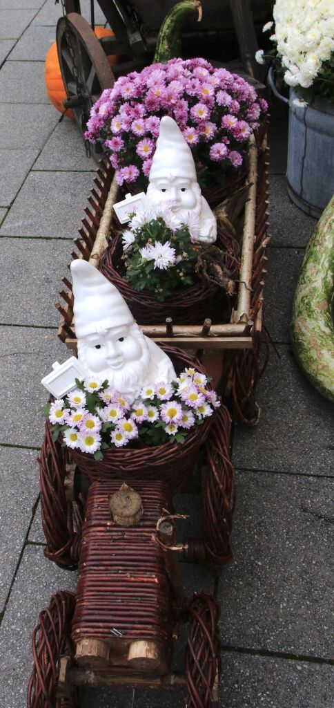 Impressionen vom letzten Chrysanthema-Wochenende 2025