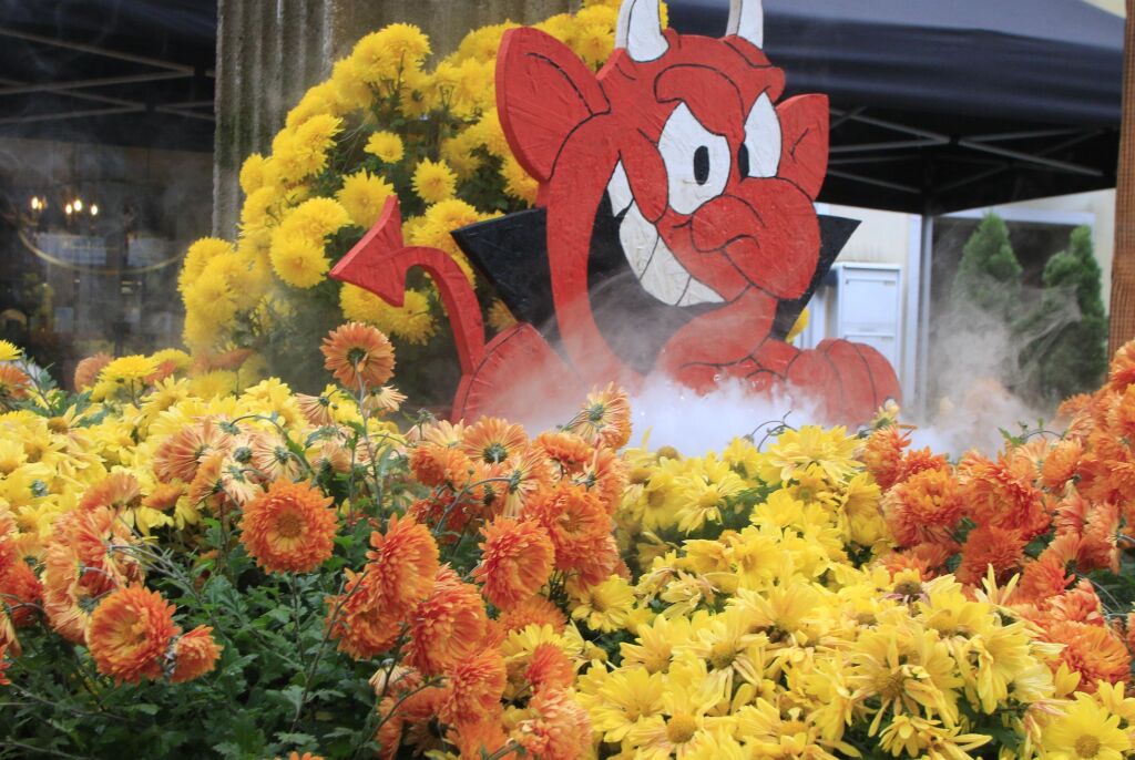Impressionen vom letzten Chrysanthema-Wochenende 2025