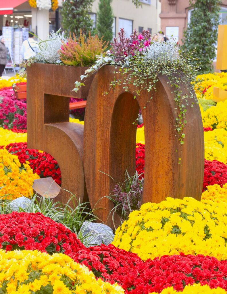 Impressionen vom letzten Chrysanthema-Wochenende 2025