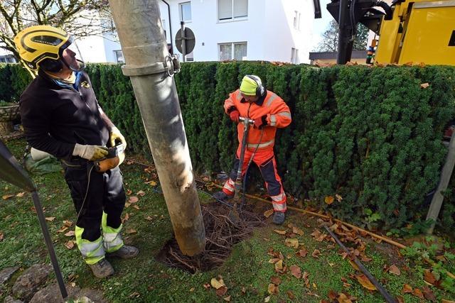 Warum im baumliebenden Freiburg immer mehr Saugbagger unterwegs sind