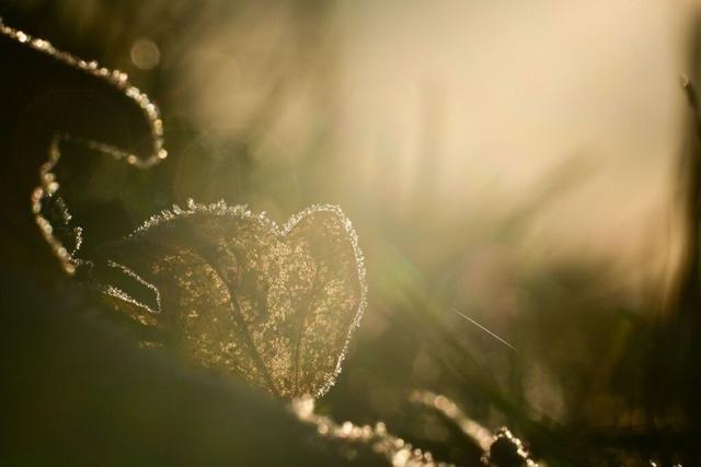 Endlich wieder Sonne? - Neue Woche startet in Baden-Wrttemberg meist freundlich