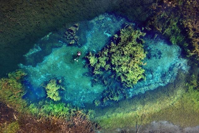 Gewsserexperte frchtet um "einzigartiges Naturerbe" durch die Polderplne bei Wyhl und Weisweil