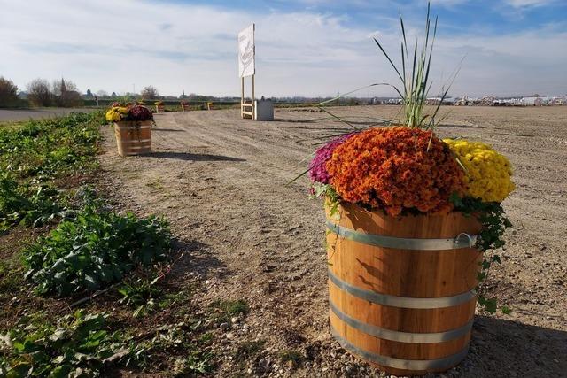 Brgermeister-Interview: Wie haben sich Kbelaffre und Krematoriumsprotest in Schwanau ausgewirkt?