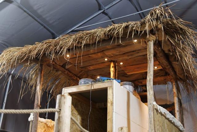 Fachsimbla aus Pfaffenweiler bauen neuen Fasnet-Mottowagen nach Robin-Hood-Abriss