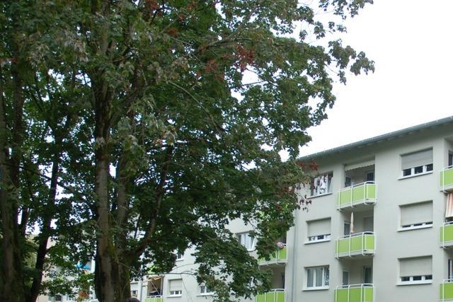 38-Jhrige stiehlt Blumenstrau, fhrt mit fremdem E-Scooter und belstigt Passanten in Lahr