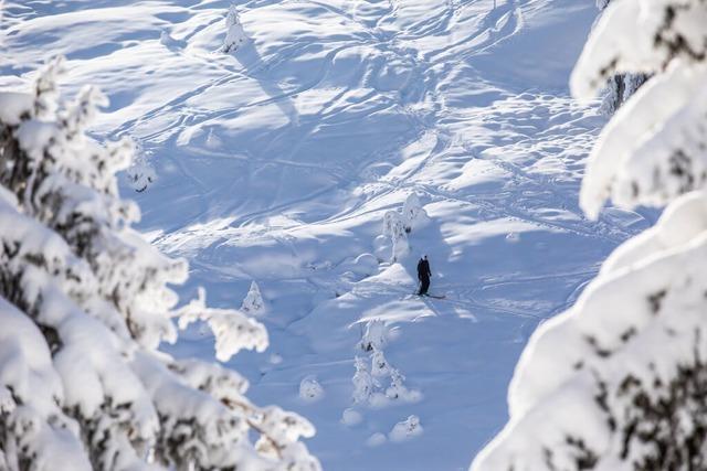 Skifreunde Burkheim starten Wintersaison mit Skigymnastik in Vogtsburg-Burkheim