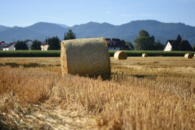 Fliegauf in Bad Krozingen-Hausen gibt Agrarhandel an BAT ab