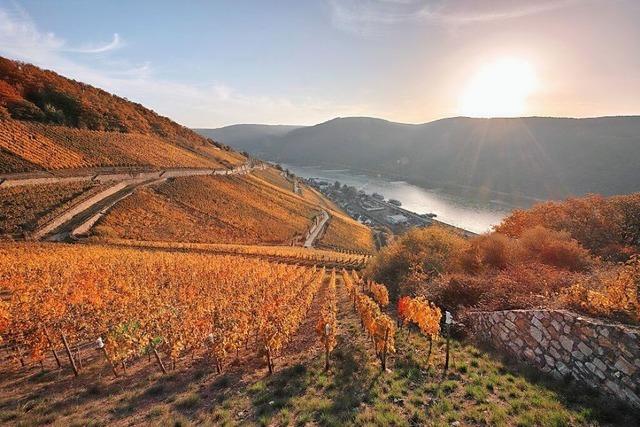 80 Jahre BZ – Jubilumskreuzfahrt