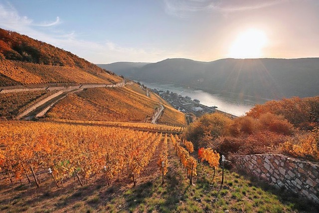 Der Rhein &#8211; Lebensader Europas und Inbegriff deutscher Romantik  | Foto:  www.kulturland-rheingau