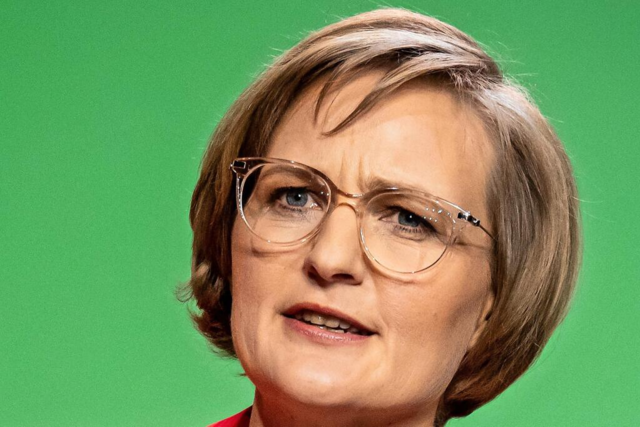 Grnen-Chefin Franziska Brantner: 