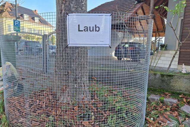 Die Stadt Ettenheim stellt ffentliche Laubkrbe zur Verfgung