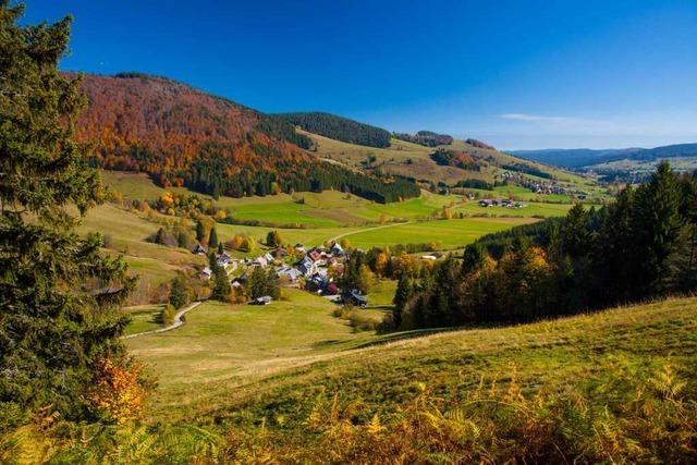 Feldberg verhandelt Beitritt zum Biosphrengebiet