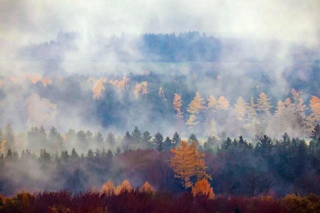So sieht der Herbst in Baden-Wrttemberg aus