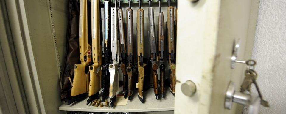 Noch keine heie Spur beim getteten Damwild in Kenzingen