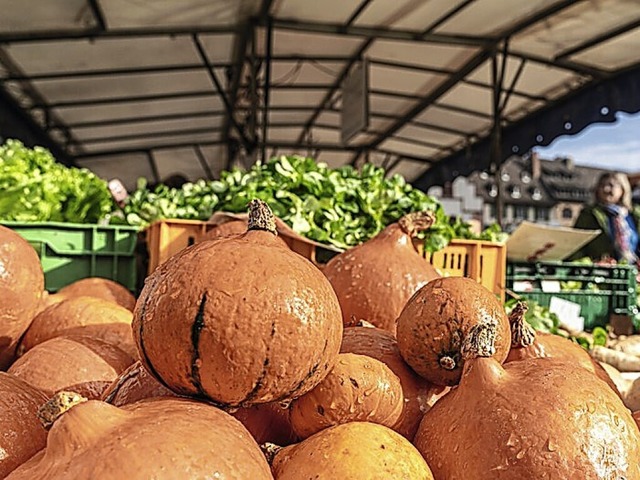   | Foto: Michael Spielhalter