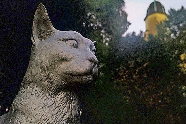 Leserbrief: Lasst uns alle anrchigen Stellen ersetzen