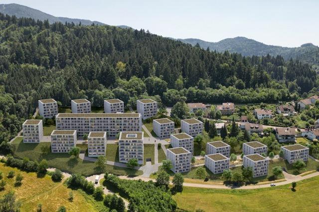 Das haben die Architekten mit der Waldkircher Herzkreislaufklinik vor