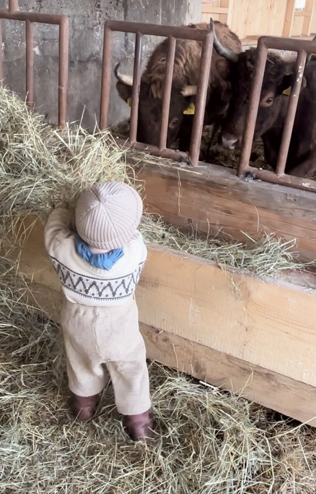 Die Familie lebt als Selbstversorger m...rn, Schafen, Ziegen und Dexterrindern.  | Foto: Geraldine Schle