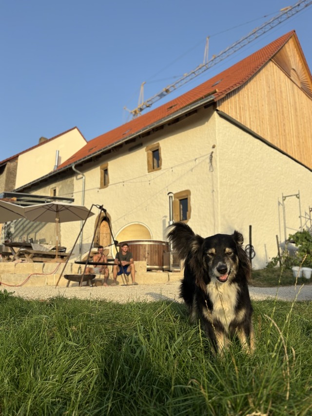 Hund Ole ist auch mit dabei.  | Foto: Geraldine Schle