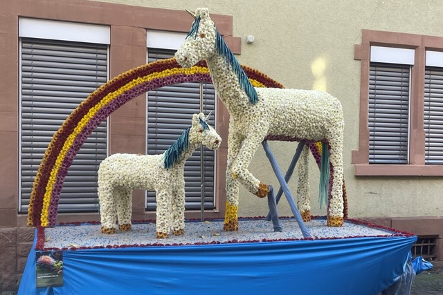 Der Jugend-Reitverein Lahr hatte mit &...sten preis der zweiten Woche gewonnen.  | Foto: Julia Gpfert