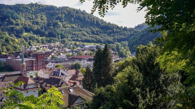 Blick von Adelsberger Strae um 1900  | Foto: Rudolf Tscheulin