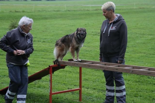 Lebensretter auf vier Pfoten: Besuch beim Training der DRK-Rettungshundestaffel Bad Sckingen