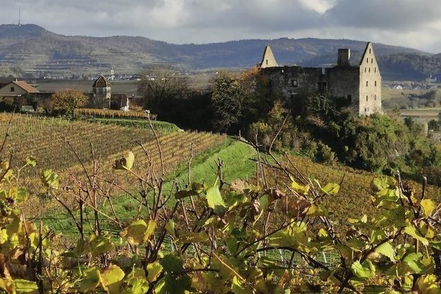Herbst am Kaiserstuhl