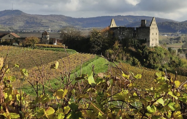   | Foto: Karin Schulz