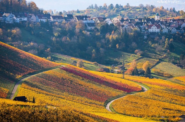 Am Freitag soll das Wetter noch einmal richtig schn werden.  | Foto: Christoph Schmidt (dpa)