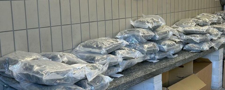Zoll stoppt Mann mit 56 Kilo Marihuana im Auto auf der A81