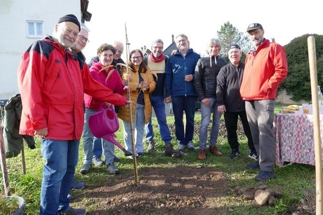 Steinens Mnnercaf meistert die Baumpflanz-Challenge