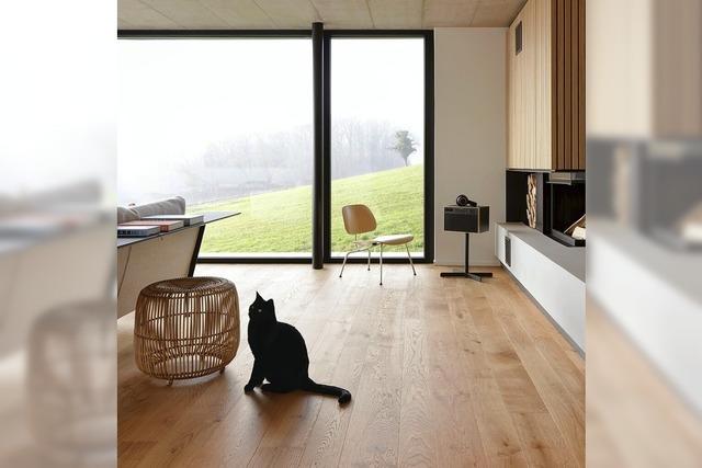 Barfu durch Herbst und Winter