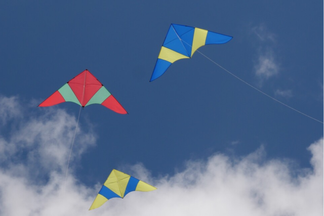 Das sind die besten Orte frs Drachensteigen in Sdbaden
