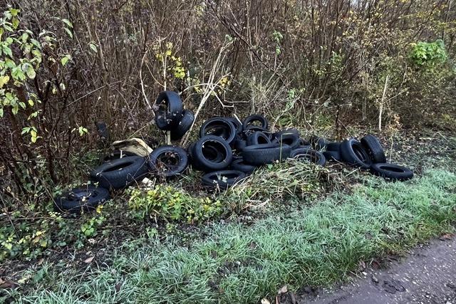 108 Altreifen wurden illegal im Mahlberger und Schwanauer Wald entsorgt
