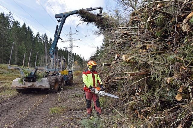 Rckschnitt im Raum Lffingen und Rtenbach soll kologische Vielfalt frdern