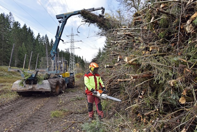 Gezielte Rckschnittmanahmen unter de...e fr seltene Tier- und Pflanzenarten.  | Foto: Roland Sigwart/Naturenergie