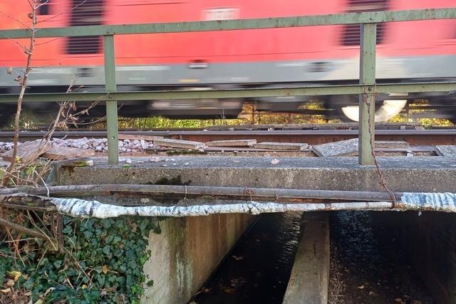 Bahnlinie in Wyhlen: "Durchschlupf" fr Bach und Fugnger