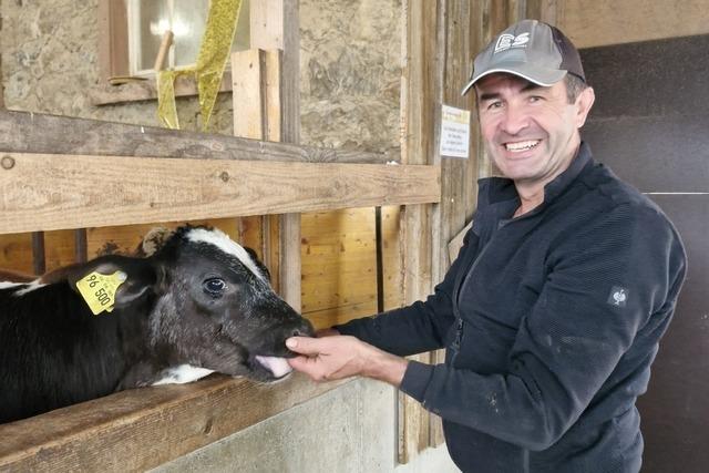 Betreiber des Baldenweger Hofs in Stegen: "Vor allem Hasen und Hhner werden geklaut"