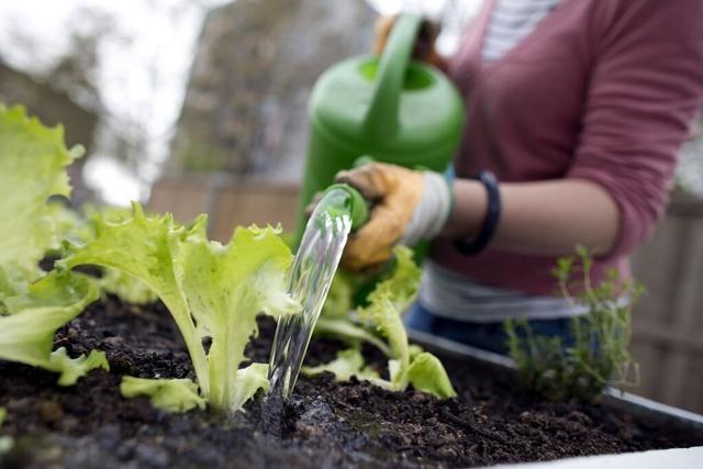 Ehrenkirchen grndet Arbeitskreis Klimaschutz mit breiter Brgerbeteiligung