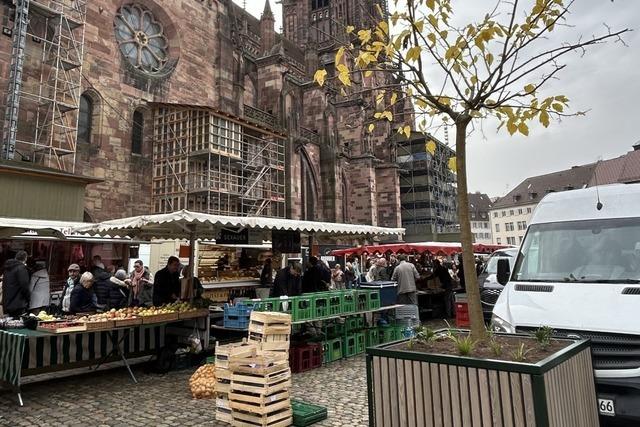 Freiburg hat jetzt Wanderbume: Was steckt dahinter?