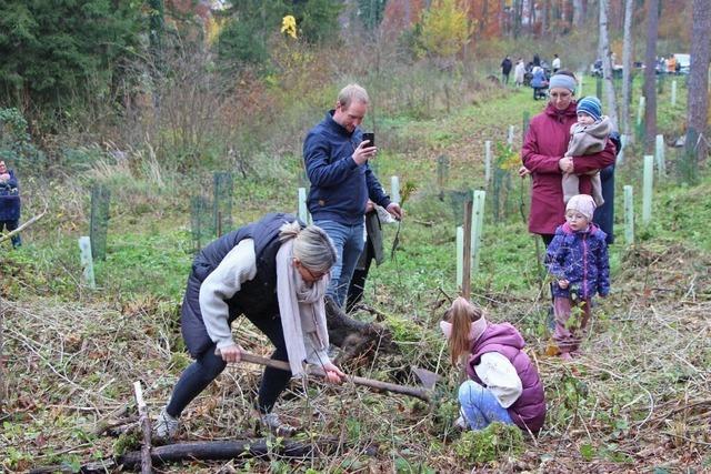 Setzlinge fr Neugeborene wachsen in Sthlingen zum Zukunftswald