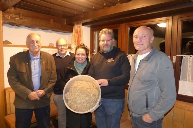 Asiatische Hornisse wird zur Gefahr auf dem Hotzenwald