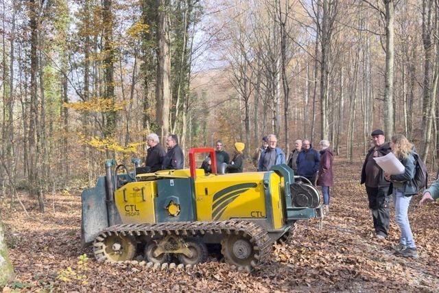 Mllheimer Forst wird Thema: Wie der Eichwald ein Wald der Eichen bleibt