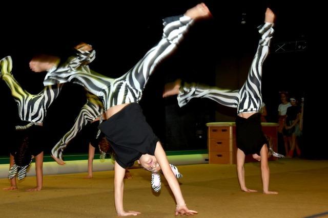 Erfolge, die Titisee-Neustadt bekannt machen