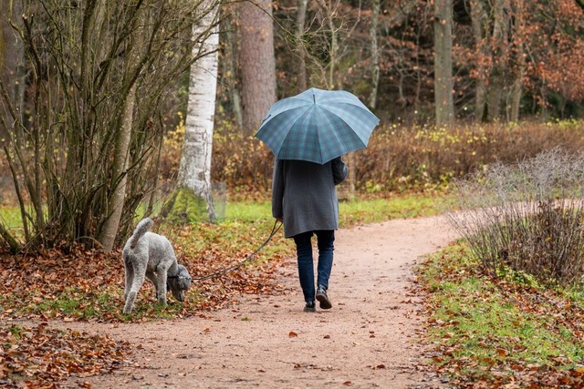 Das Wetter wei diese Woche in Baden-W...n, dann wieder Sonne oder doch Schnee?  | Foto: Silas Stein (dpa)
