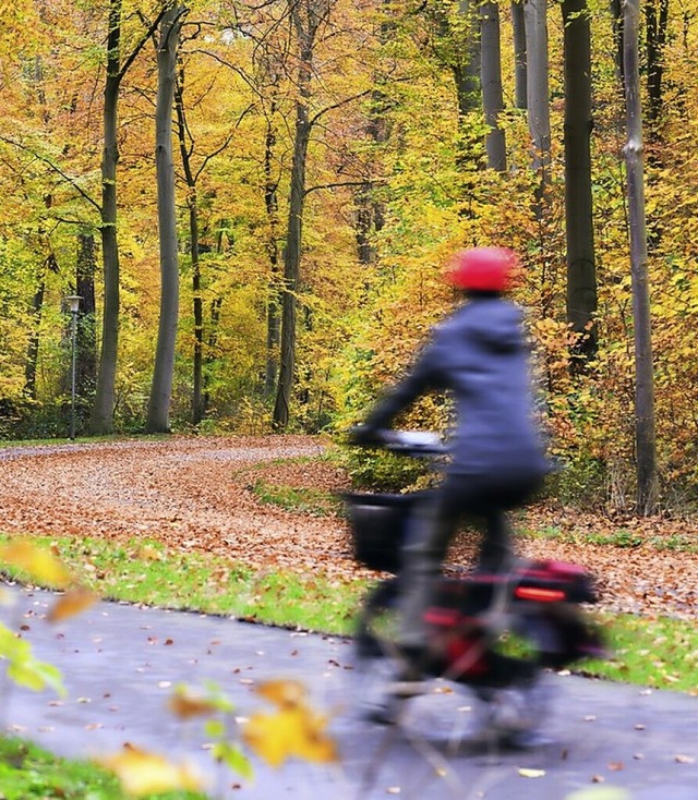 Radfahren ist gesund und gut frs Klima.  | Foto: Julian Stratenschulte (dpa)