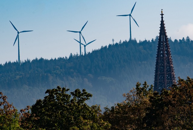 Eine Infokampagne der Stadt Freiburg s... Windenergie kritisch gegenberstehen.  | Foto: Patrick Seeger/Stadt Freiburg